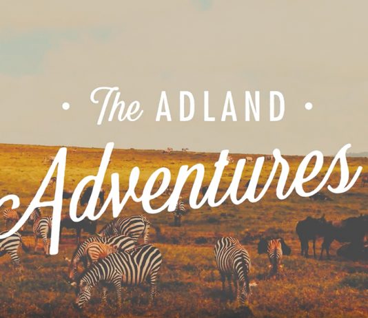 adland-adventures-ad-agency-agence-publicite-animal-animaux-sauvages