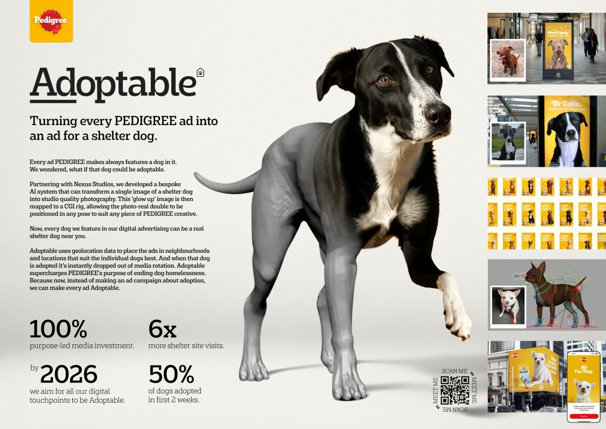 pedigree adoptable shelter dogs colenso bbdo auckland